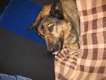     
: IMG_0038.jpg
: 19
:	174.2 
ID:	7407027