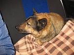     
: IMG_0040.jpg
: 16
:	148.5 
ID:	7407030