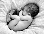    
: getImage.jpg
: 12
:	51.4 
ID:	7408940
