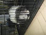     
: IMG_8223.jpg
: 7
:	149.4 
ID:	7410588