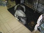    
: IMG_8247.jpg
: 5
:	152.1 
ID:	7410646