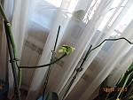     
: DSCN0258.jpg
: 11
:	85.9 
ID:	7413454