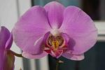     
: DSC_1544.jpg
: 9
:	78.9 
ID:	7413560