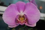     
: DSC_1543.jpg
: 15
:	75.2 
ID:	7413562