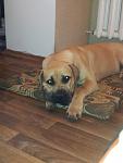    
: 20131016_123017.jpg
: 6
:	137.8 
ID:	7416114