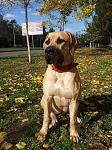     
: 20131019_145738.jpg
: 11
:	123.1 
ID:	7416116