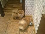     
: Фото2283.jpg
: 6
:	101.5 
ID:	7416524