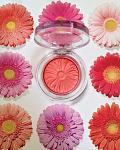     
: Clinique-Blush-Spring-2014.jpeg
: 36
:	131.5 
ID:	7420871