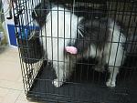     
: attach56ment.jpg
: 10
:	110.5 
ID:	7420912