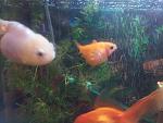     
: 2013-12-20 20.11.13.jpg
: 41
:	118.3 
ID:	7421016