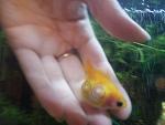     
: 2013-12-20 20.12.58.jpg
: 32
:	90.0 
ID:	7421018