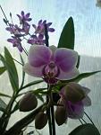     
: P1010143 (2).jpg
: 13
:	74.1 
ID:	7422228