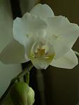     
: P1010146 (2).jpg
: 10
:	33.5 
ID:	7422230