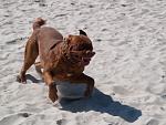     
: P4042013.jpg
: 52
:	243.8 
ID:	742337