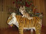     
: DSC02762.jpg
: 77
:	157.4 
ID:	742339