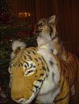     
: DSC02763.jpg
: 64
:	89.3 
ID:	742342