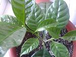     
: 2013-12-21 12.18.36.jpg
: 12
:	143.3 
ID:	7423537