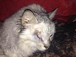     
: photo (5).jpg
: 3
:	172.5 
ID:	7423727