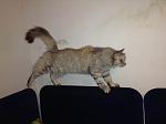     
: photo.jpg
: 1
:	62.3 
ID:	7423728