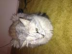     
: photo (3).jpg
: 2
:	166.7 
ID:	7423729