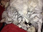     
: photo (2).jpg
: 1
:	135.4 
ID:	7423732