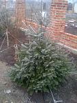     
: IMG_0496.jpg
: 12
:	124.8 
ID:	7423989