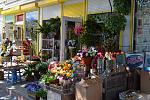     
: DSC_0028.jpg
: 15
:	219.1 
ID:	7425920