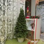     
: IMG_2553.jpg
: 46
:	134.4 
ID:	7426868