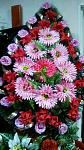    
: герберы 180 грн.jpg
: 22
:	103.4 
ID:	7428441