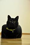     
: DSC_0050.jpg
: 4
:	30.9 
ID:	7429164