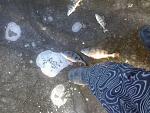     
: 2013-12-22 09.31.59.jpg
: 24
:	175.9 
ID:	7430343