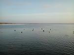     
: 2013-12-21 15.32.24.jpg
: 39
:	87.3 
ID:	7430344