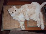     
: DSC01428.jpg
: 49
:	125.0 
ID:	743249