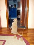     
: DSC01406.jpg
: 55
:	83.7 
ID:	743251