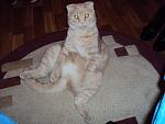     
: DSC01440.jpg
: 52
:	115.4 
ID:	743252