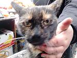     
: DSC_0174.jpg
: 8
:	134.0 
ID:	7433695