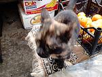    
: DSC_0176.jpg
: 11
:	169.7 
ID:	7433696