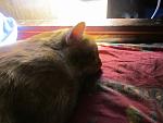     
: IMG_5502.jpg
: 2
:	118.8 
ID:	7436656