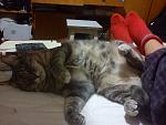     
: DSC00429.jpg
: 3
:	106.3 
ID:	7436693