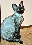     
: DSC_0107.jpg
: 20
:	99.6 
ID:	7441890
