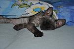     
: DSC_0029.jpg
: 27
:	123.3 
ID:	7441896