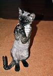     
: DSC_0104.jpg
: 20
:	94.4 
ID:	7441897