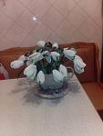    
: IMG_20131214_002549.jpg
: 24
:	67.4 
ID:	7442897