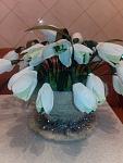    
: IMG_20131214_002642.jpg
: 23
:	84.7 
ID:	7442898