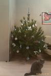     
: IMAG0067.jpg
: 30
:	54.3 
ID:	7443103