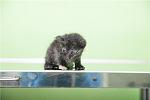     
: fa7136a07c8c.jpg
: 2
:	34.3 
ID:	7443413