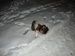     
: DSC00374.jpg
: 36
:	104.1 
ID:	744354
