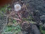     
: IMG_0500.jpg
: 4
:	180.8 
ID:	7445062