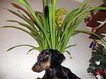     
: 555555555555555GEDC1635.jpg
: 6
:	133.0 
ID:	7446456
