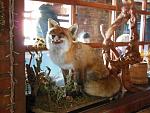     
: DSCN1103.jpg
: 9
:	134.1 
ID:	7446759